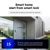 Contrôle IP66 Patio en aluminium Porte en verre coulissant Smart Lock TT Lock Application Handle Handle Keypad Empreinte digitale RFID Electronic Digital Lock