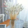 Dekorative Blumen flauschige Schwänze Gras getrockneter Naturpampas Reed Reed Hochzeit Bouquet Weihnachtsfeier Garten Dekor Boho Home DIY Dekoration