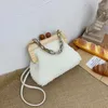 Cadena de acrílico de dibujo Bolso de mujer 2024 Bolsa de clip de felpa de invierno Fashion Simple Hombino Diagonal DISEÑO BOLSAS FEMENAS