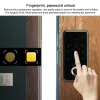 Controllo Smart Keyless Biometric Impronta digitale Blocco elettronico Digital Electronic per armadietti Gabinetto Gabinetto/porta/guardaroba/cassetto Locker