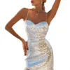 2024 New Damen Silber Quaste Sexy Slim Fit Party Long Dress