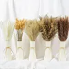 Fiori decorativi 120pcs pampas erba perfetta per decorazioni di Halloween autunnale arrangiamenti di matrimoni natalizi boho room naturale essiccato