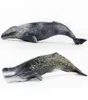 Tomy 30CM Simulation Marine Creature Whale Model Sperm Whale Gray Whale PVC Figure Model Toys X11067080961