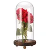 Dekorativa blommor LED Rose Bottle Light med sträng USB -driven sängkontroll Kontroll Ambient för alla hjärtans dag Mors