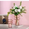Vases Gradient Transparent Verre Bouteille Fleur moderne Décoration de maison minimaliste Ornements du salon Arrangement de salon
