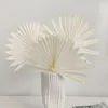 Decorative Flowers 2Pcs Pu Fan Dried Flower Guanyin Dry LeafDecoration Arrangement Shop Window Art Set Wedding Soft Decoration