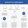 Kontrola wzmacniacza FOSI Audio P1 Rurka HiFi Bufor stereo przedwzmacniacz 6K4 Wakuum z wysokim tonowym tonem sterowanie tonem dla inteligentnego domu