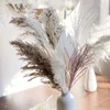 Fiori decorativi foglie di palma fiore secco Pampas bouquet boho decorazioni per la casa coda naturale decorazione per matrimoni artificiale