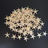 100pcs Mini Starfish Craft Decoration Natural Stars DIY Beach Cottage Wedding Decor Crafts