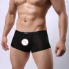 Underpants 2024 Fashion Polyester Ultra-thin Sheer Man Sexy Penis Pouch Boxers Underwear Gay Male Transparent Shorts Panties