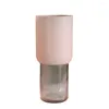 Vasen rosa gefrostete Glas Vase Textur Minimalist Kreative Zylindrische Hydroponic Blumenarrangement Accessoires für die Heimdekoration