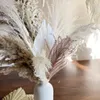 Fiori decorativi foglie di palma fiore secco Pampas bouquet boho decorazioni per la casa coda naturale decorazione per matrimoni artificiale