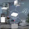 Contrôler l'interrupteur Smart Touch Zigbee Smart pour les stores électriques à rouleaux électriques Switchs d'éclairage intelligents Prise en charge de l'application Alexa Life Smart Alexa