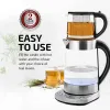 Makers Electric Glass Kettle, 1,7 liter, silver, prontofill -teknik, 4 temperaturinställningar, bonus för bärbar återanvändbar.usa.new