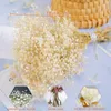 Dekorative Blumen getrocknete Blumenstrauß Valentinstag Geschenk Hochzeitshäuser für Po Requisiten Dekoration natürliche Gypsophila Paniculata Baby