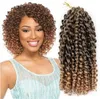 8 pollici Marley Marlybob Extensions di capelli sintetici ombre 24 fili/pacchetto gehaakte vlechten marlybob jerry curl jamaicaanse