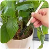 Gardening Handle Wood Mini Tools Plantes métalliques Phel