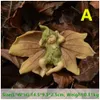 Mini Sleeping Baby Fairy Leaves Garden Figurines Miniature Resin Crafts ornament Gnomes Moss Terrariums Home Decoratie 240411