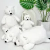 Bonecas kawaii simulação macia urso polar u urso de pelúcia de brinquedo travesseiro de boneco de travesseiro de decoração de decoração fofo bebê namorada namorada presente de aniversário