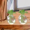 Vases Hydroponic Vase Wall Hanging Planters Flower Pots Clear For Decor Centerpieces Terrarium Glass Holder Small Mounted