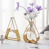 Metal Modern Flower Vases Dekoracje żelaza szklane szklane stół do jadalni hydroponiczne dekoracyjna butelka wystrój salonu