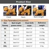 Spring Summer Dresses for Small Dogs Puppy Clothes Cute Polo Student Cat Skirt Dress Princess Dog Clothing vestido perro 240422