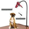 Dryer Dualuse Pet Hair Dryer Bracket Telescopic Any Shape Fixation Frame Multipurpose Pet Big Dog Hair Dryer Cat Grooming Accessories