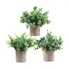 Dekorative Blumen 3pcs Kunststoff verleihen zu Hause Eleganz mit künstlichem realistischem Erscheinungsbild einfach sauber