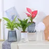 Wazony podwójnie podlewanie roślin Plant przezroczysty plastikowy wazon kwiatowy Automatyczny leniwy hydroponiczny dekoracje donite