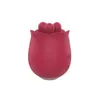 giocattoli sessuali vibratore serie rosa linguetti leccare vibratore divertimento femminile doppio salto d'uovo maschere femminile femminile da donna giocattoli sessuali