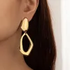 Other Cold Wind Earrings Female Hollow Irregular Exaggerated Earrings 240419