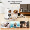 Voer 3.5L Automatische huisdiervoeder voor katten wifi Smart Swirl Slow Dog Feeder met spraakrecorder grote capaciteit timing Cat Food Dispenser