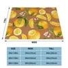 Filtar orange modern kreativ design bekväm varm flanell filt blommande vektor citrusskiva isolerad vintage bladfrukt