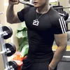 남성 의류 대형 여름 캐주얼 편안한 편안한 꽉 조이는 Tshirt 스포츠 체육관 운동복 Quickdrying 통기성 티셔츠 240409