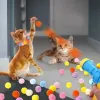 Toys Toys Toys Interactive Plush Ball Shooting Gun Lancio di lancio Kittens Mini Pompoms Games Cat Toy Pet Toys Accessori per animali domestici