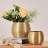 Jarrones Arreglo de plantas doradas Casas para el hogar Cercelana Cercelana Cercelana Nordic Round Vase Decoración cepillada Golden