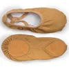 Tanzschuhe Ushine EU23-45 Professionelle Qualität Tuose Slipper Leinwand weicher Einzelbauch Yoga Gym Ballet Mädchen Frau Mann Ballerina