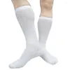 Men's Socks Cotton Mesh Striped Mens Formal Dress See Through Softy Stocking Sexy Breathable Long Tube Hose Business