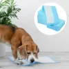 Pañales 50/100pcs Pet Pad Diaper Dog Training Pee Pee almohadillas de entrenamiento de mascotas súper absorbentes PEE PEE PET MAS