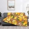 Filtar orange modern kreativ design bekväm varm flanell filt blommande vektor citrusskiva isolerad vintage bladfrukt