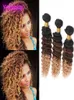 I capelli umani vergini brasiliani Ombre 1b427 Deep Wave 3 fasci di bundle estensioni doppie trame ricci profonde tre toni 1b 4 275628925