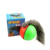 Zabawki 1PC Cat Toys Beaver Łasica Rolling Motor Ball Toy dla zwierzaka psa elektrycznego kota zwiastun kulki zabawę ruchomy kolor losowy