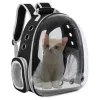 Bolsas de gato portador de animais de estimação Mochila transparente cápsula bolha bolha mochila pequena animal filhote de filhote de cachorro gatinho transportadora respirável para viagem