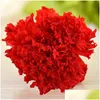 Decorative Flowers Wreaths 8Pcs Preserved Flower Head Carnation Dried Mothers Day Gift Box For Mother Drop Delivery Home Garden Festiv Dhtgm