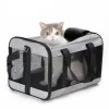 Bolsas Cat e cachorro verão respirável transportador de gato portador de gato portador de gato backpack transportadora de animais de estimação Mochila de transporte de animais de estimação