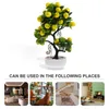 Fiori decorativi Simulazione di alberi da frutta artificiale DOCORS FINUCI DESKTOP BONSAI PVC TABELLO DI FINE UFFICIO