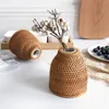 Vaser nordisk stil rotting vas japansk porslin blomma bordsskiva växter potten terrarium för vardagsrum heminredning