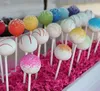 Backformen 100pcs Kunststoff Lollipop Stick Safer weißer Kuchen -Toper -Trottel für Schokoladenzucker Süßigkeit Lollypop DIY Form Dekoration