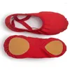 Tanzschuhe Ushine EU23-45 Professionelle Qualität Tuose Slipper Leinwand weicher Einzelbauch Yoga Gym Ballet Mädchen Frau Mann Ballerina