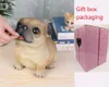 Pig Piggy Bank Child Piggy Bank Household Items Children Toys Money Boxes Cartoon Pig Shaped Birthday Gift Coins Storage Box 240415